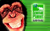 animal planet.jpg (14681 bytes)